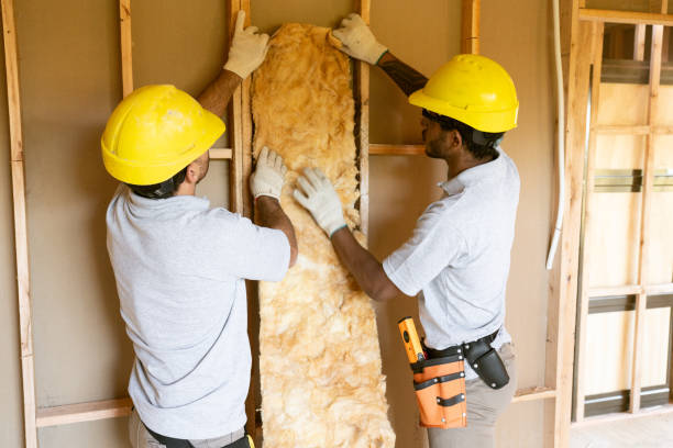 Professional Insulation in Hemby Bridge, NC